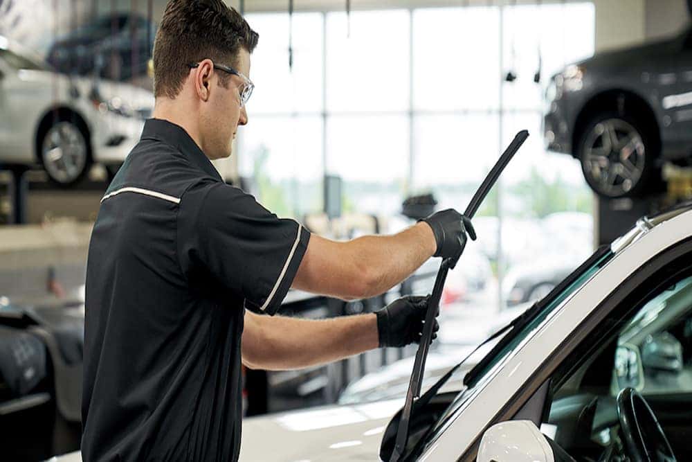 Special for Wiper Blades