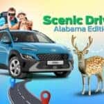 Scenic Drives Of Alabama