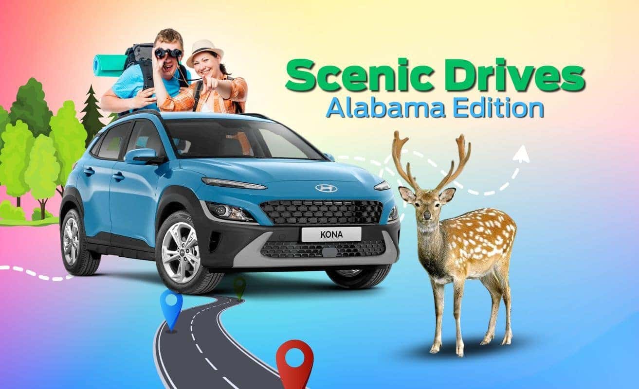 Scenic Drives Of Alabama