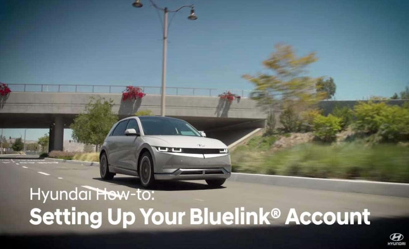 Setting Up Your Bluelink®