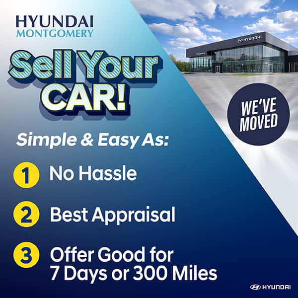 Sell Your Car!