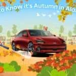 how to know it's autumn