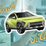 Vehicle Air Fresheners