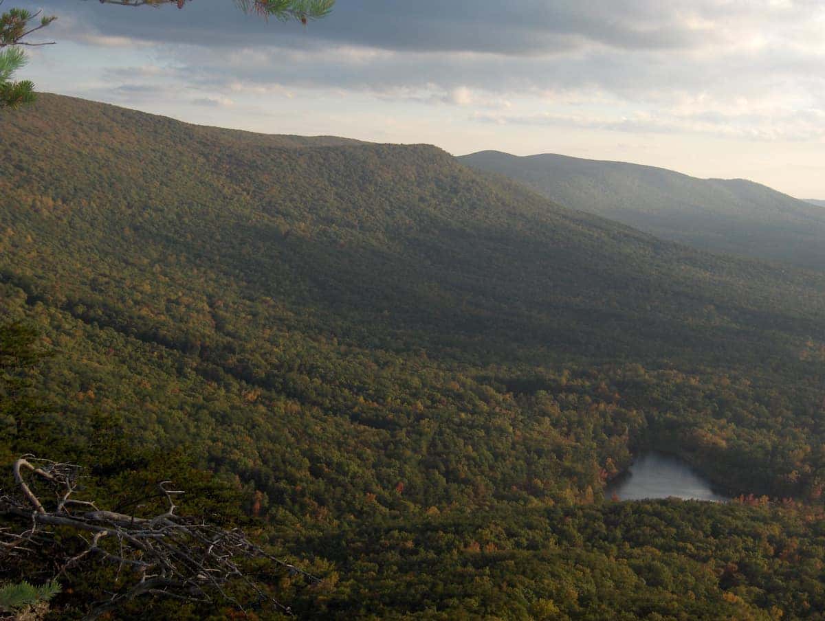 Talladega National Forest