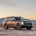 Brown 2026 Hyundai Palisade parked in a desert