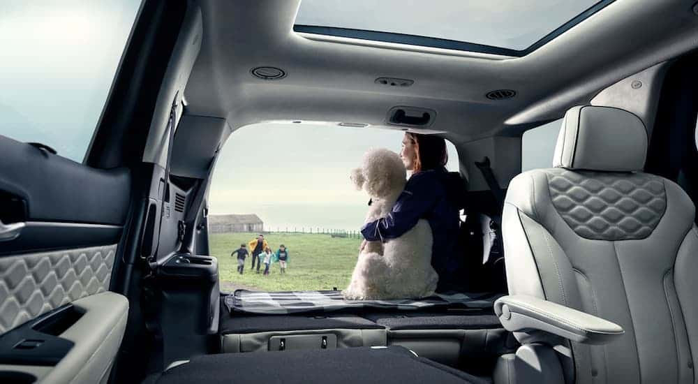 A person sits with their dog in the trunk of a 2020 Hyundai Palisade