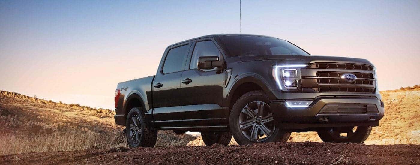 A black Ford F-150 XL Sport is shown parked on ahill.