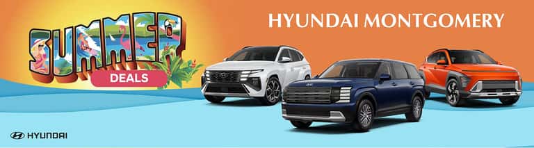 Summer Deals!