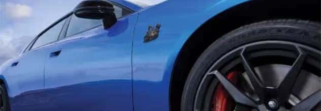  DAYTONA SCAT PACK