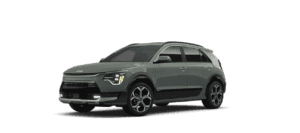 Niro Comparisons