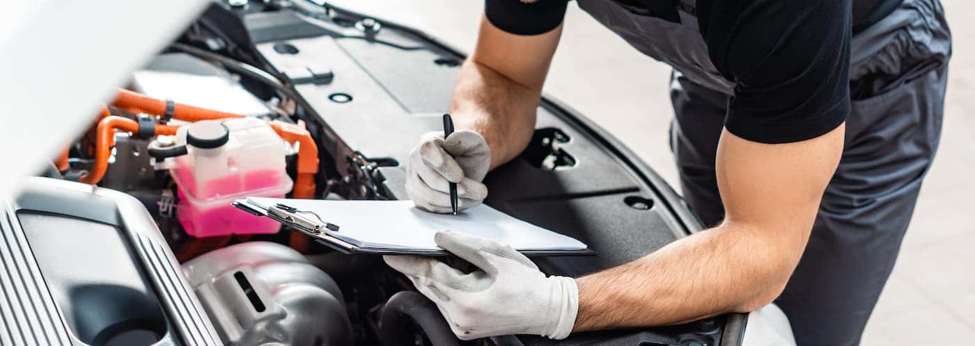 attentive mechanic checking oil type