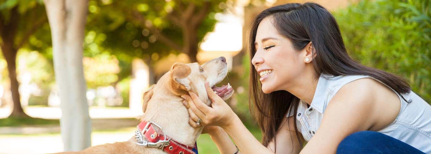 woman playing with dog at dog park