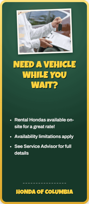Rentals Available