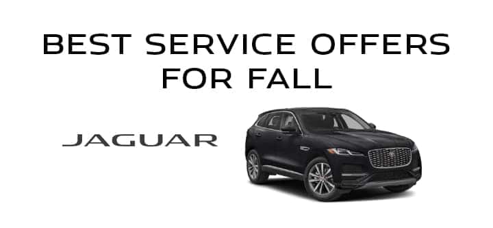 BEST JAGUAR SERVICE OFFERS FALL