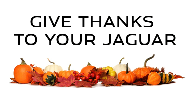 Give Thanks to Your Jaguar