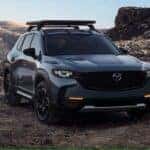 Carbon Cx-50 with roof rack