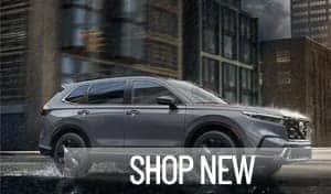 Shop New Honda Models This Presidents' Day