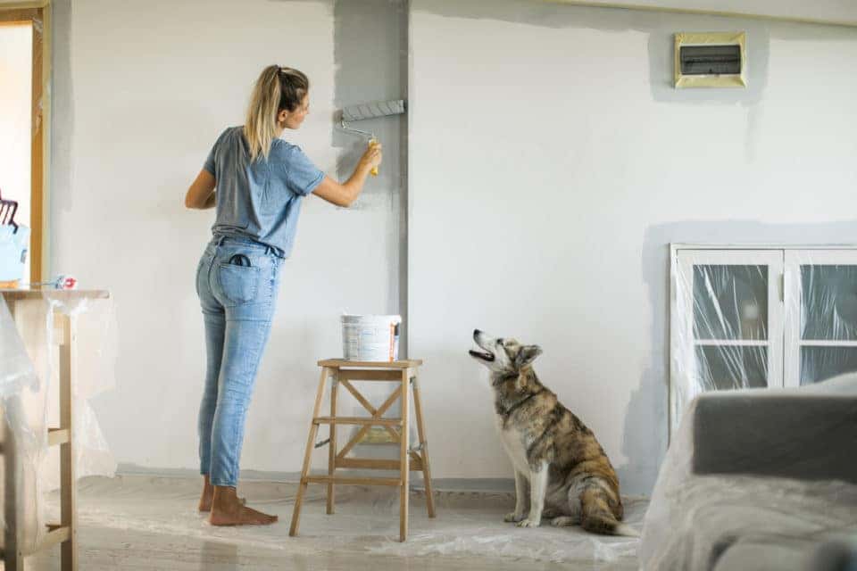 Woman painting a living room wall with a dog at her side