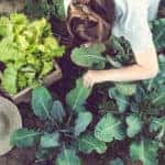 A person working in a home vegetable garden