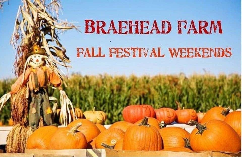 Harvest Festival in Fredericksburg