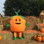 Harvest Festival in Fredericksburg