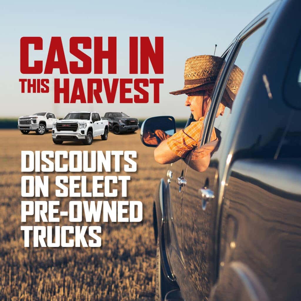 Cash In This Harvest