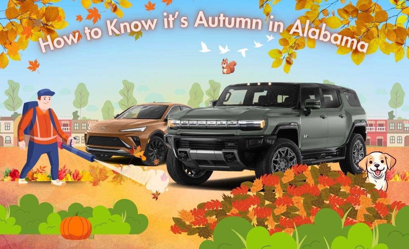 How To Know It's Autumn