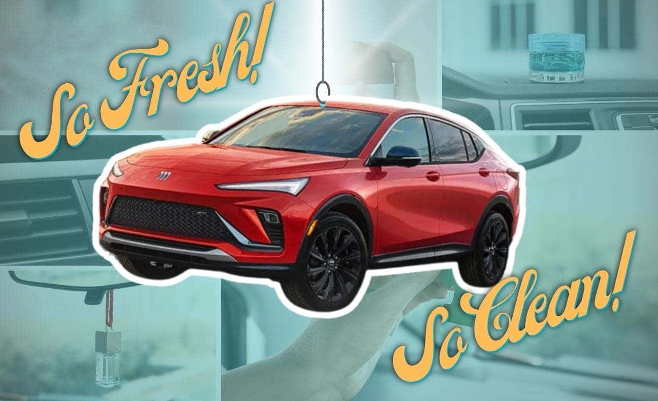 Vehicle Air Fresheners