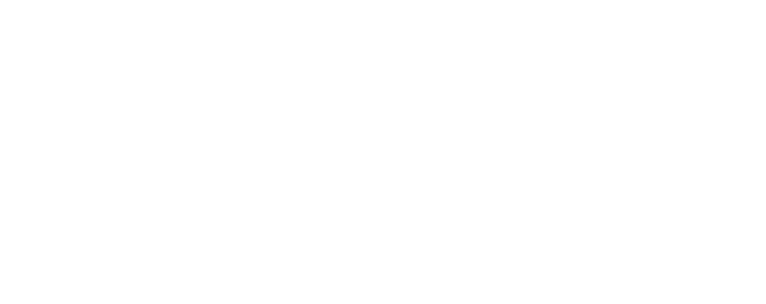 Wolfsburg Crest Club Award