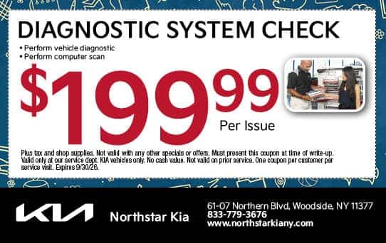 Diagnostic System Check
