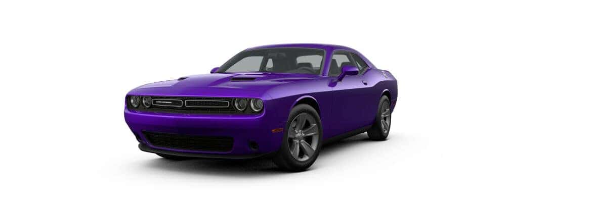 Plum Crazy