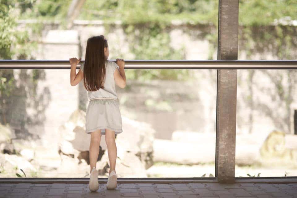Family Attractions In Naples