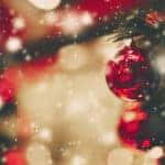 Fort Myers Festival of Trees