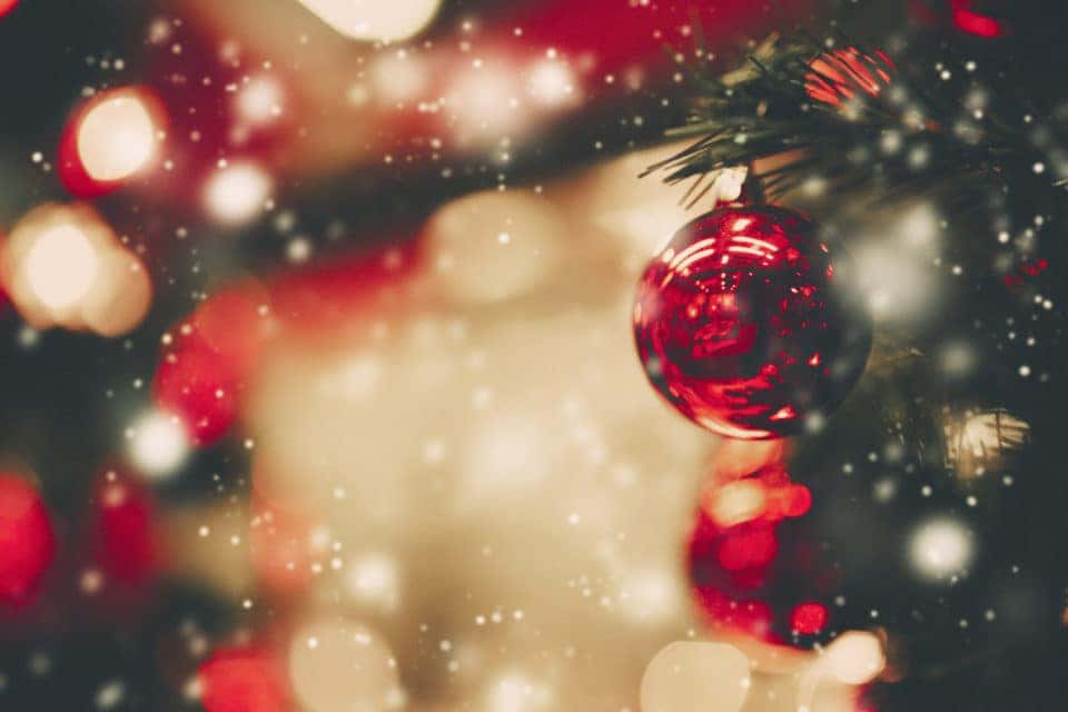 It's Time For The 12th Annual Fort Myers Festival Of Trees Rick