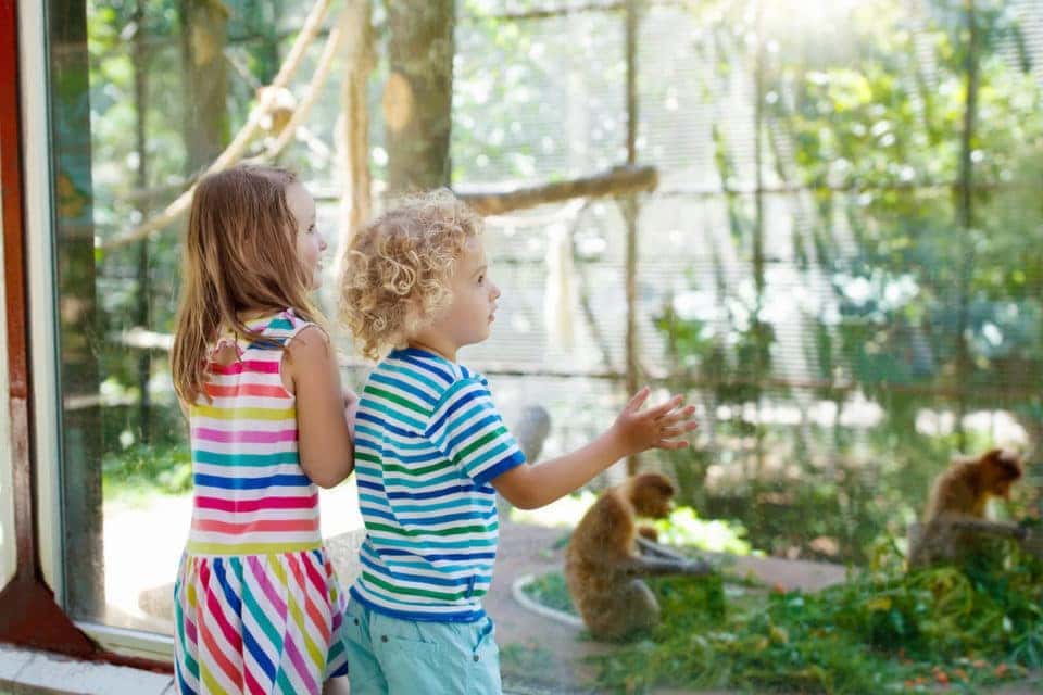 Naples Zoo Winter Fest