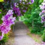 Blooms & Brews at the Naples Botanical Garden