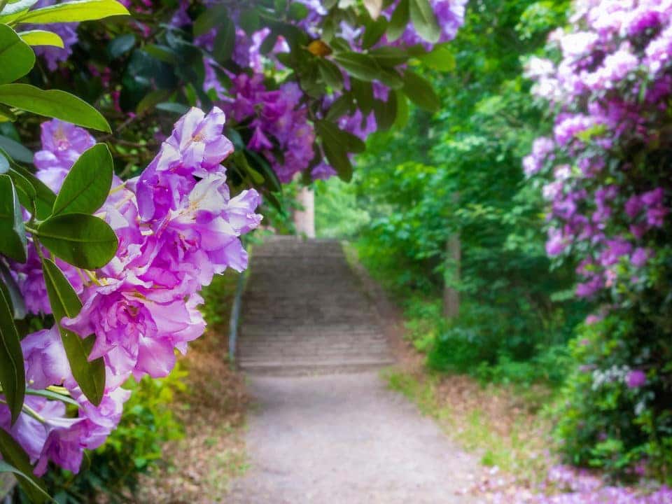 Blooms & Brews at the Naples Botanical Garden