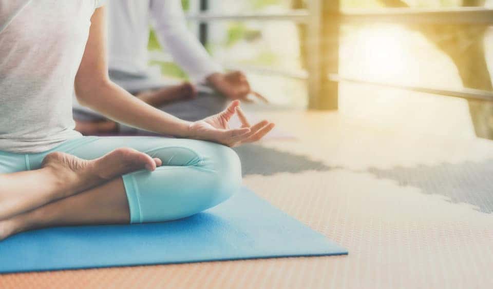 Zoo Yoga