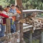 Naples Zoo