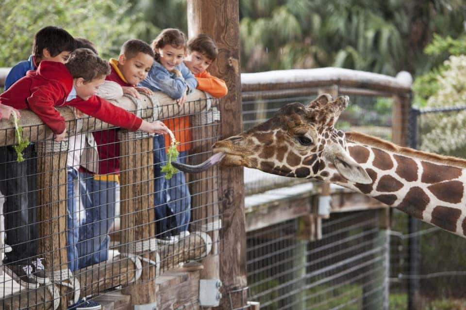 Naples Zoo