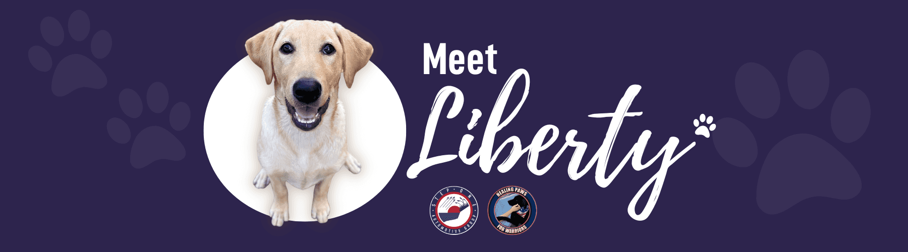 Meet Liberty Header Image
