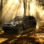 Photo of a 2025 Jeep Cherokee in the woods with sunbeams shining on it