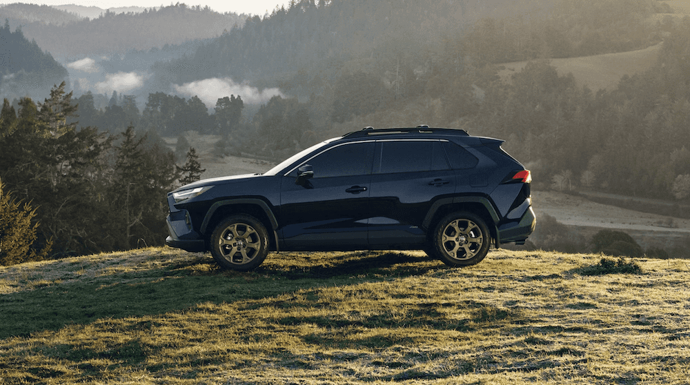 New Blue 2025 RAV4 Exterior Nearby Garland