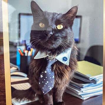 Mr. B